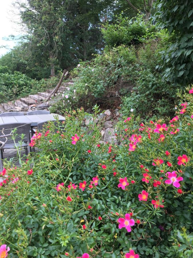 Margretelyst Bed & Breakfast Farso Ngoại thất bức ảnh